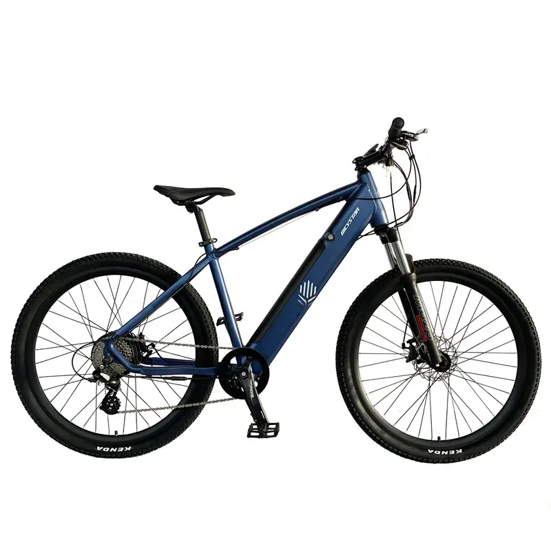 Richbit — vtt électrique, vélo de descente, cyclomoteur, allemagne