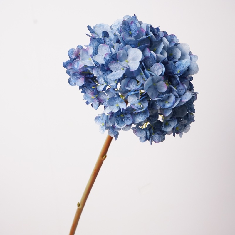 Ortensia olandese ramo grande - blu scuro