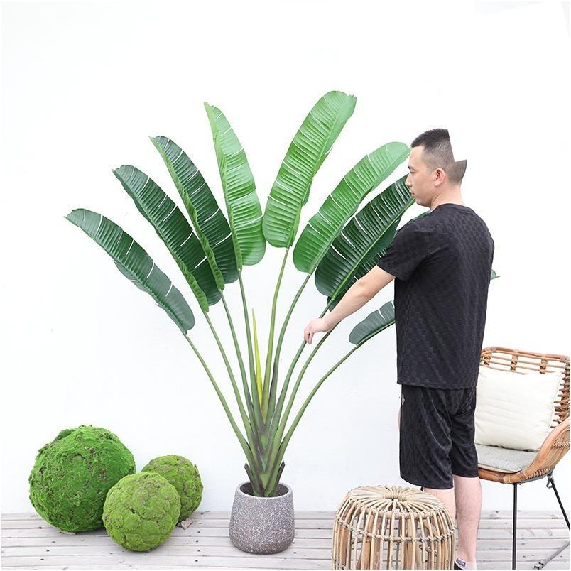 Oiseau de paradis Overlord 170 cm + petit pot à fond rond