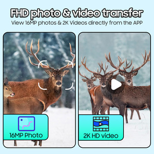 LEVOFAST Full HD 4MP Infrared <strong>IR</strong> Outdoor Waterproof Wildlife 4G Trail Hunting <strong>Camera</strong> Wireless 4G Hunting Solar <strong>Camera</strong> - Product Image 4