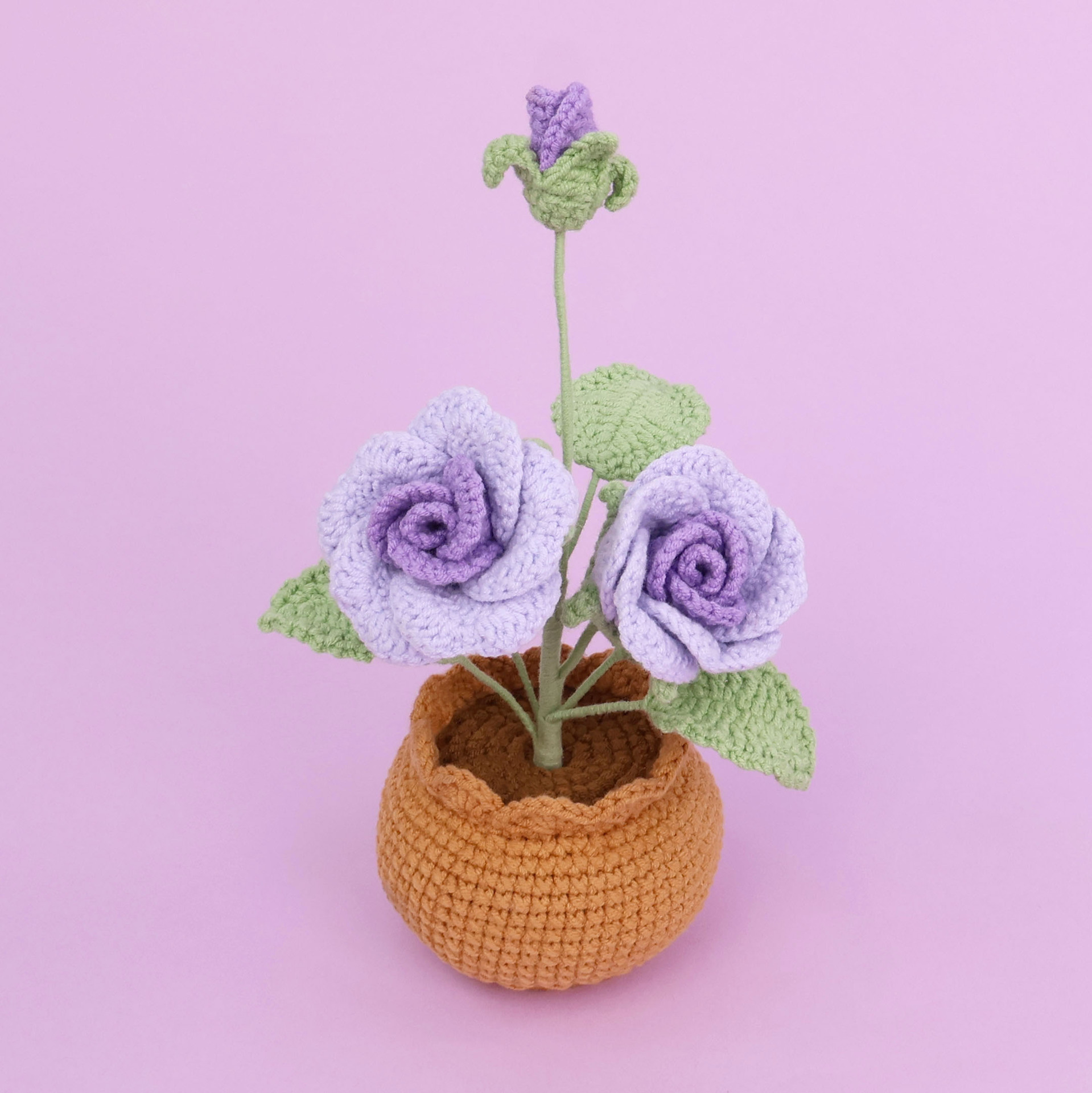 Pourpre