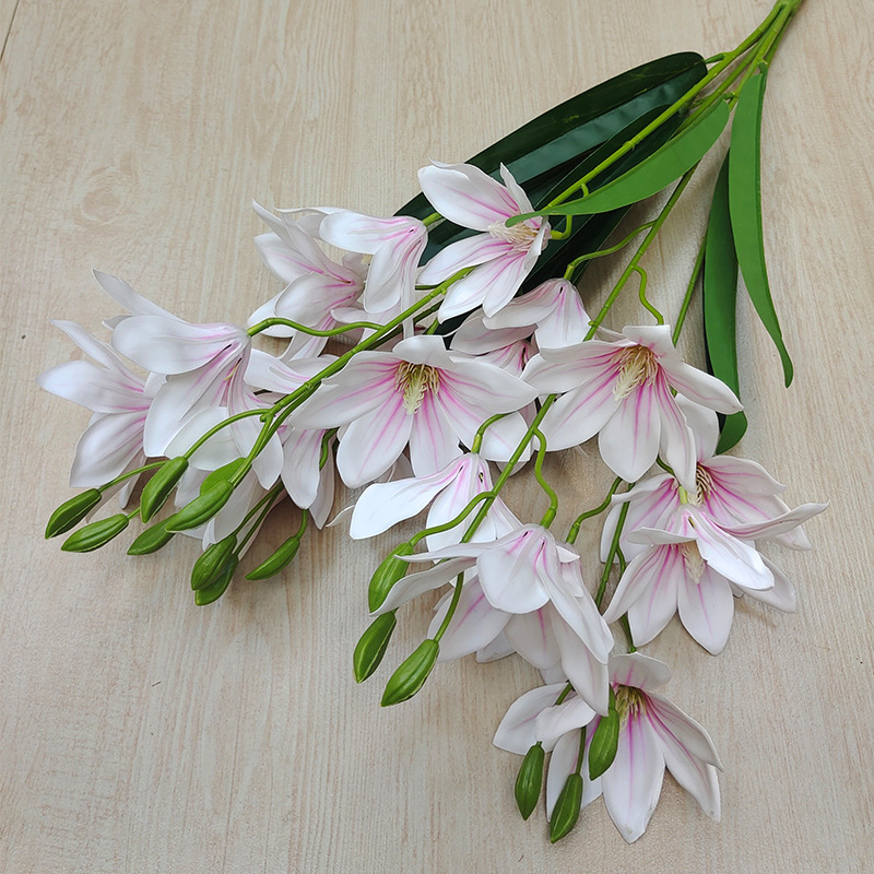 Bianco 2