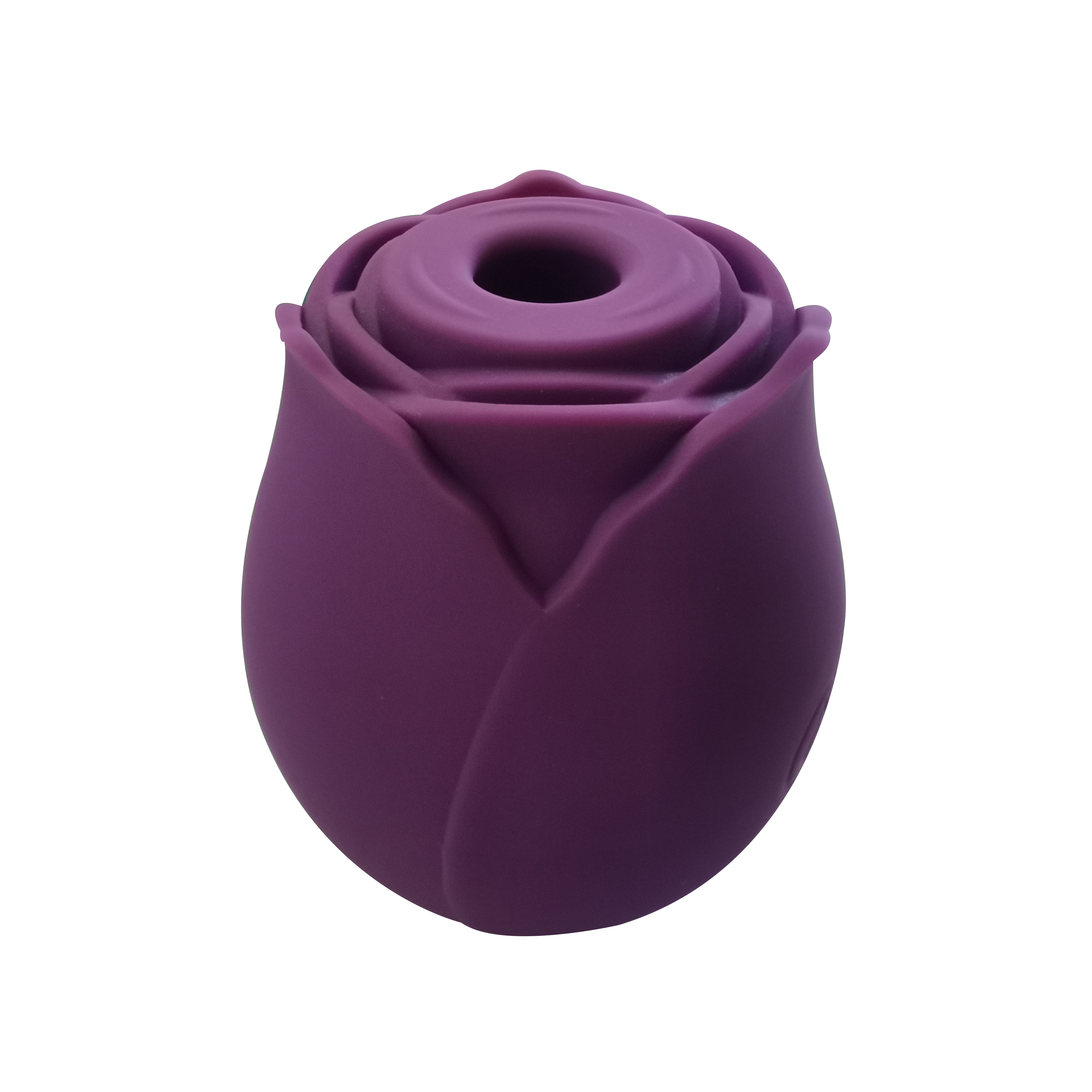 Viola
