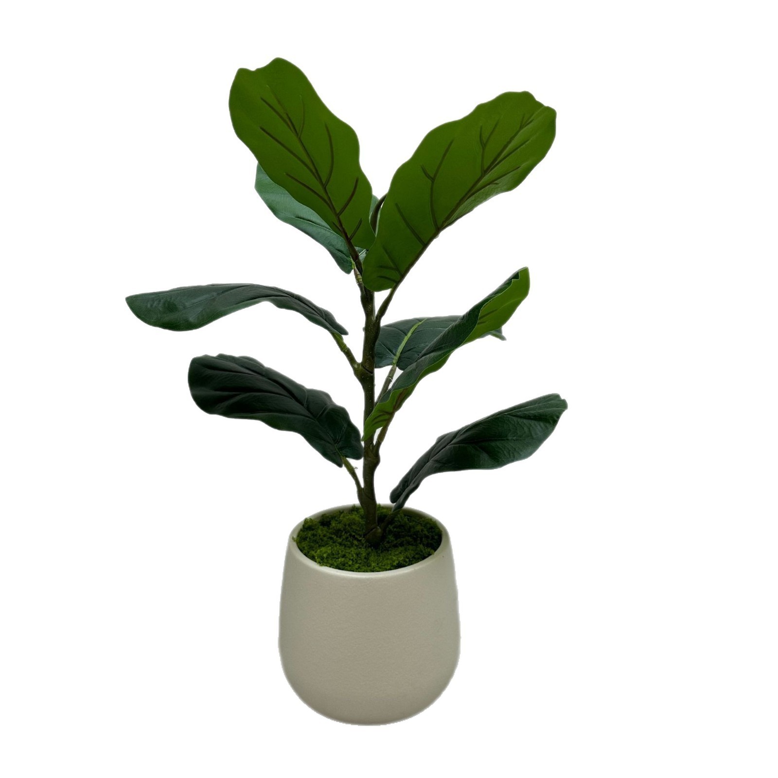 Vert-60cm