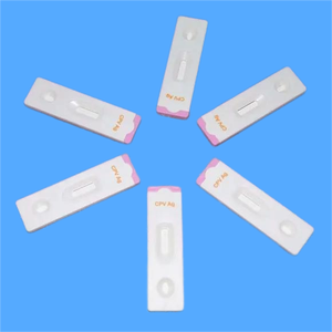 Veteriner teşhis aleti hızlı Test kitleri Canine Distemper virüs antijen laboratuvar şeritleri CDV/CPV antijen hızlı testi - Product Image 5