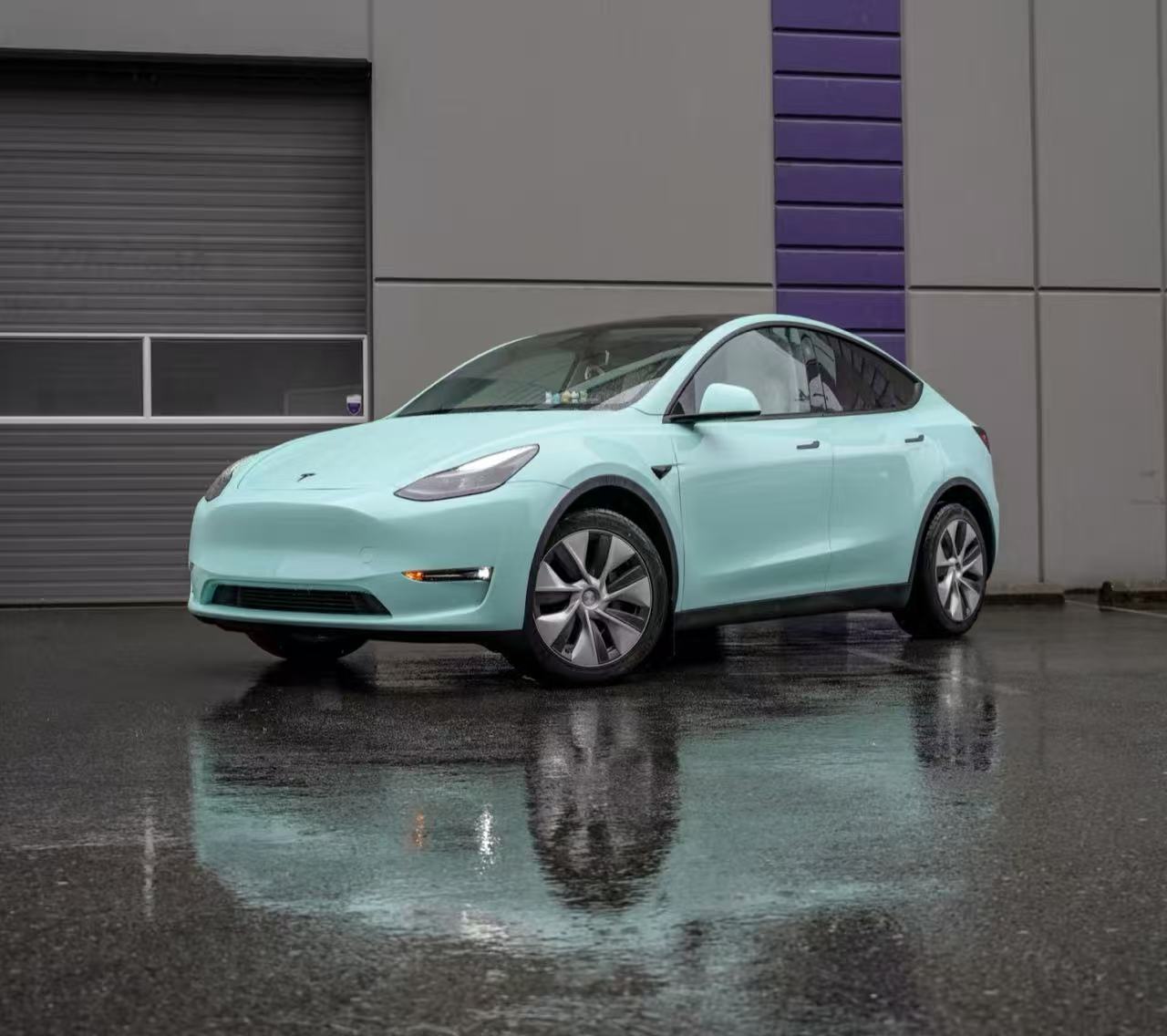 Saga Green