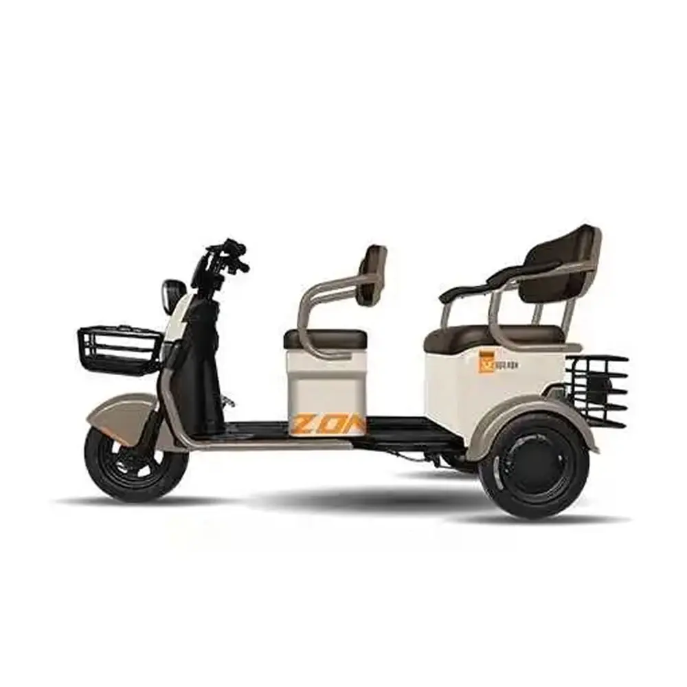 Trike 3-Rad Erwachsenenfahrrad Batterie Motor Dreirad zu verkaufen / Rikscha Passagier 2-Sitzer Citycoco 3-Rad Elektro-Dreirad