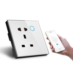 智能WIFI Zigbee壁式插座智能插座usb-c和电源监控和语音控制制造商 - Product Image 4