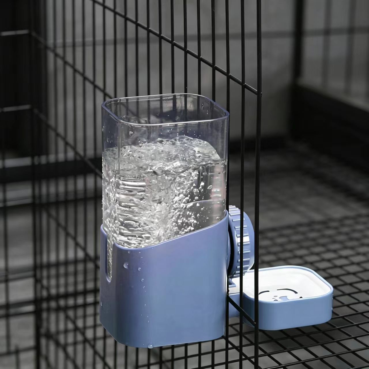 Bleu
