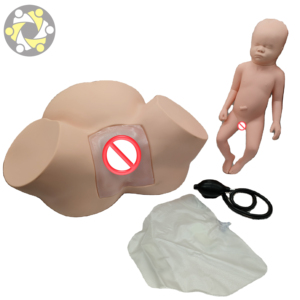 Midwifery Delivery Practice Model Medical Science <strong>Human</strong> Anatomy - Product Image 2