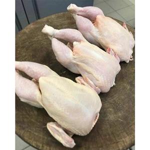 快速回家冷冻全鸡和鸡肉出口物流确保新鲜 - Product Image 2