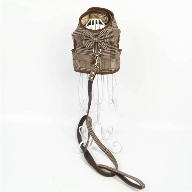 Harness with leash