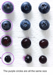 Automatic Fruit <strong>Classifier</strong> Machine Fresh Blueberry Sorting Machine Blueberry Grading Sorting Machine - Product Image 5
