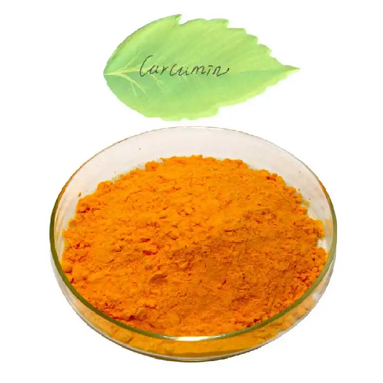 Extrait de Turmeric pur 95 en poudre, prix 95% de curcumine