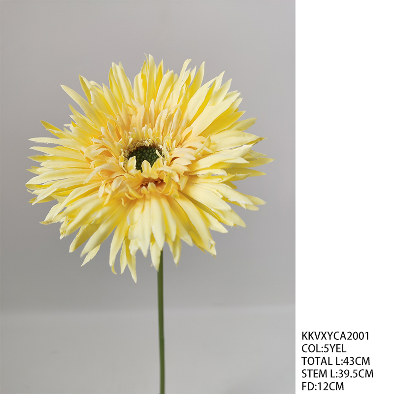 KKVXYCA2001_5GIALLO