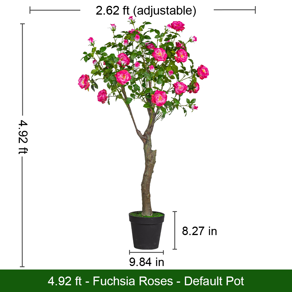 4,92 pieds-Roses fuchsia