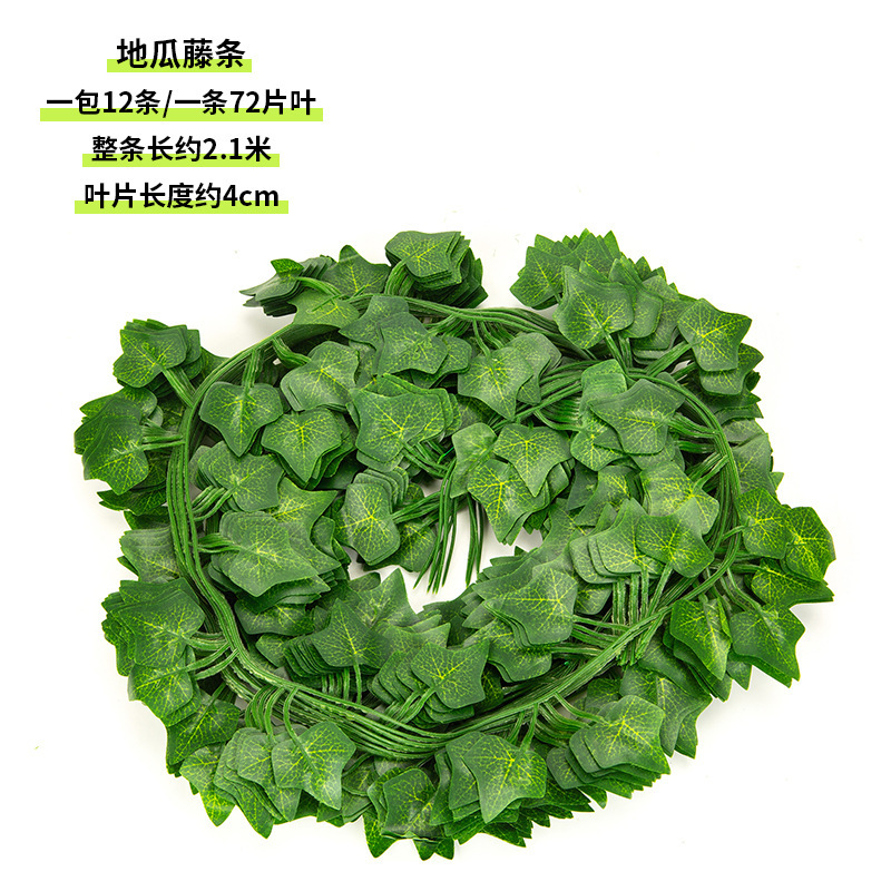 72 sweet potato vine strips (1 pack of 12)