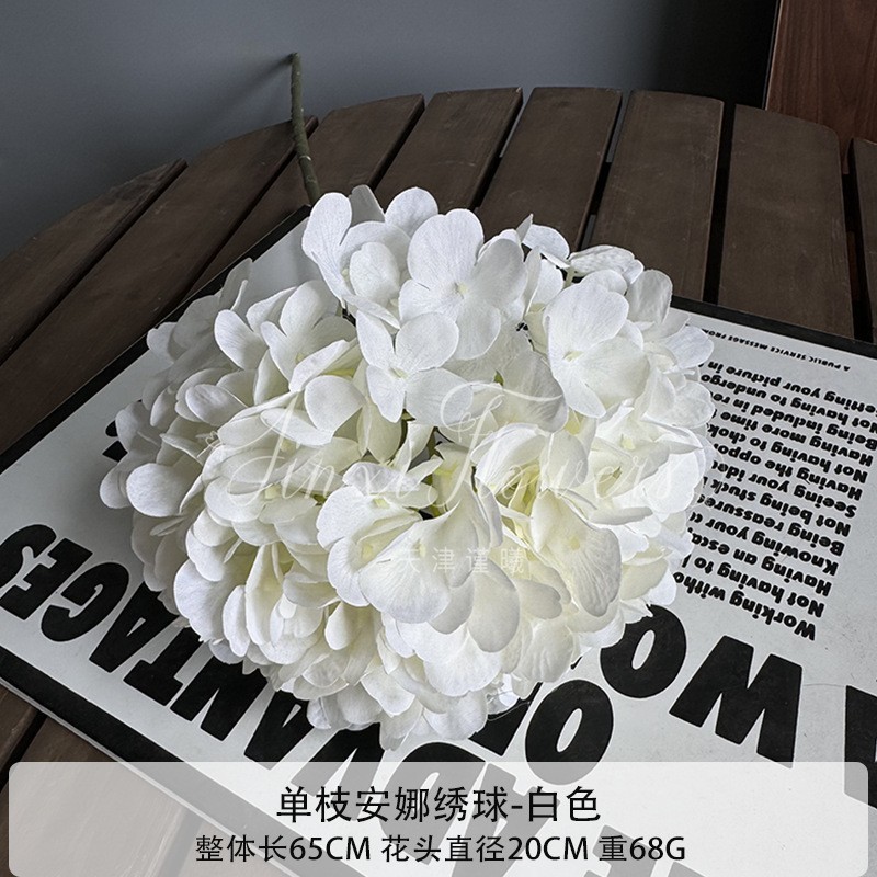 Hortensia de Anna - Blanca