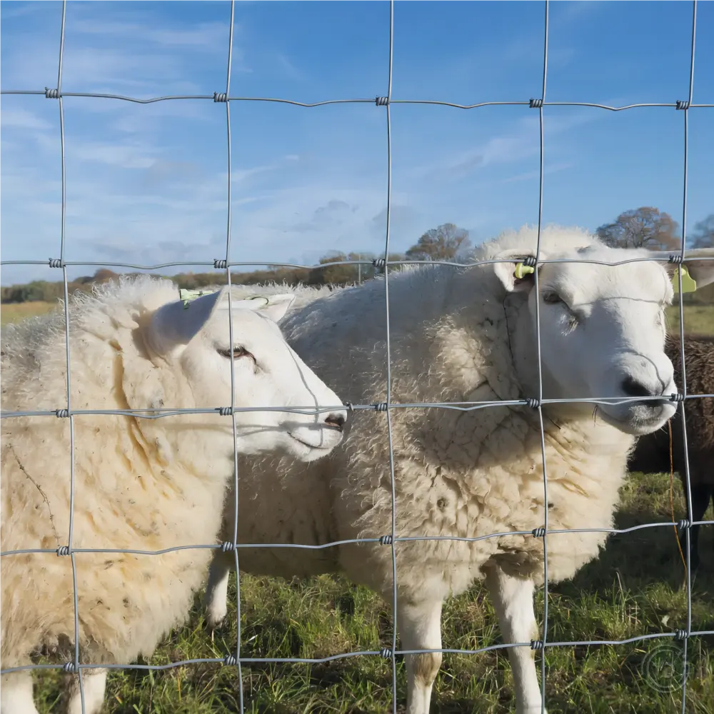 Ucuz keçi eskrim çiftlik koyun ve keçi tel çit galvanizli keçi çiftlik çiti