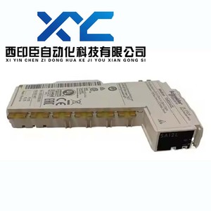 TM5SAI2PH TM5SAI2TH for Schneider <strong>Analog</strong> <strong>Input</strong> <strong>Module</strong> 100% Brand New and Original in Stock