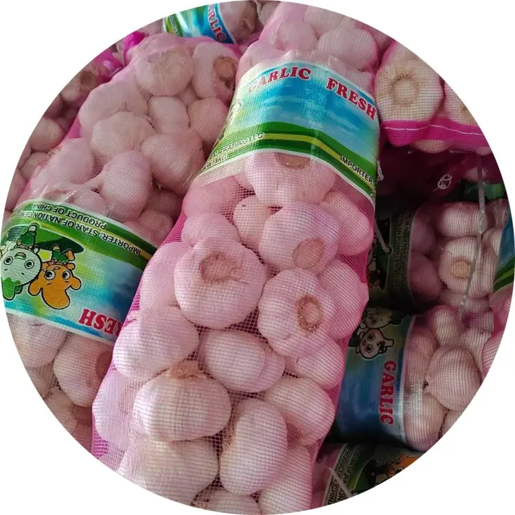 Fornitori di aglio cinese con semi di aglio g1 con aglio crudo a prezzi economici in vendita
