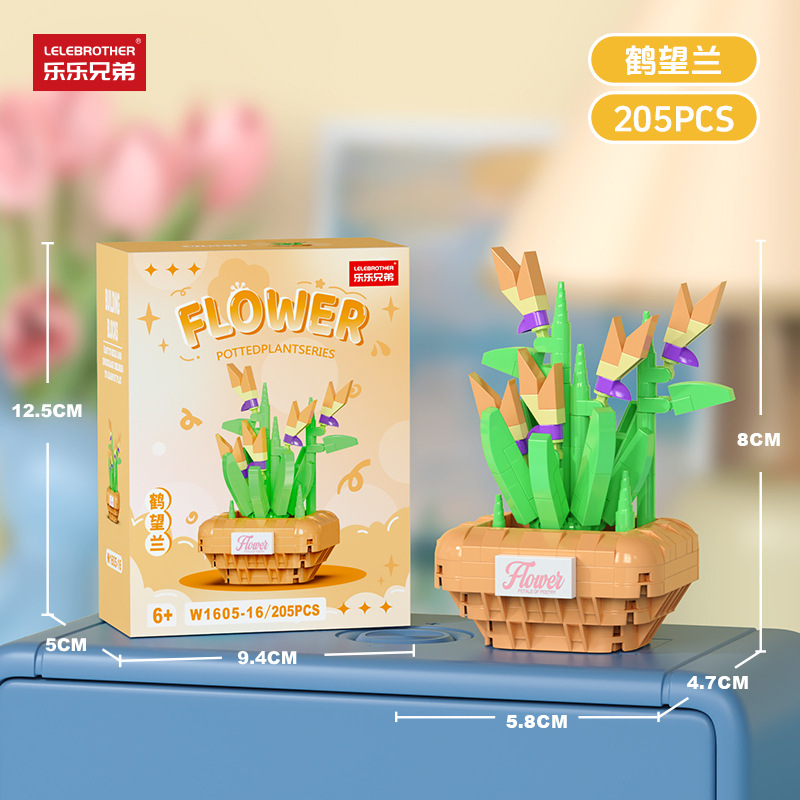 Bird of Paradise (in a colorful box)