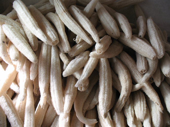 Natural colour 30-40cm