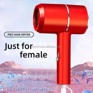 Promotion Practicality Gift Set for Wedding Hair Dryer with Concentrator Nozzle + air Cushion Comb Gift Set Box for Women - Product Image 3