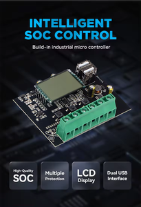 Controlador de Panel Solar Inteligente, Bombilla de Salida, 24V, 12V, CC, 10A, 30A, 50A, 60A, 20A, Manual, PWM, Cargador Solar - Product Image 5