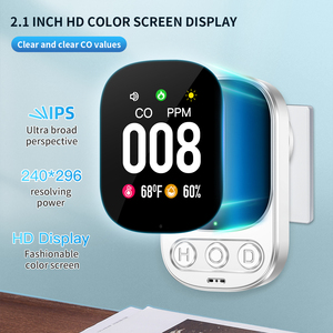 Sistema de detección de CO autocomprobante con monitoreo en tiempo real, pantalla a color para gasoductos y dispositivos de seguridad de transporte - Product Image 5