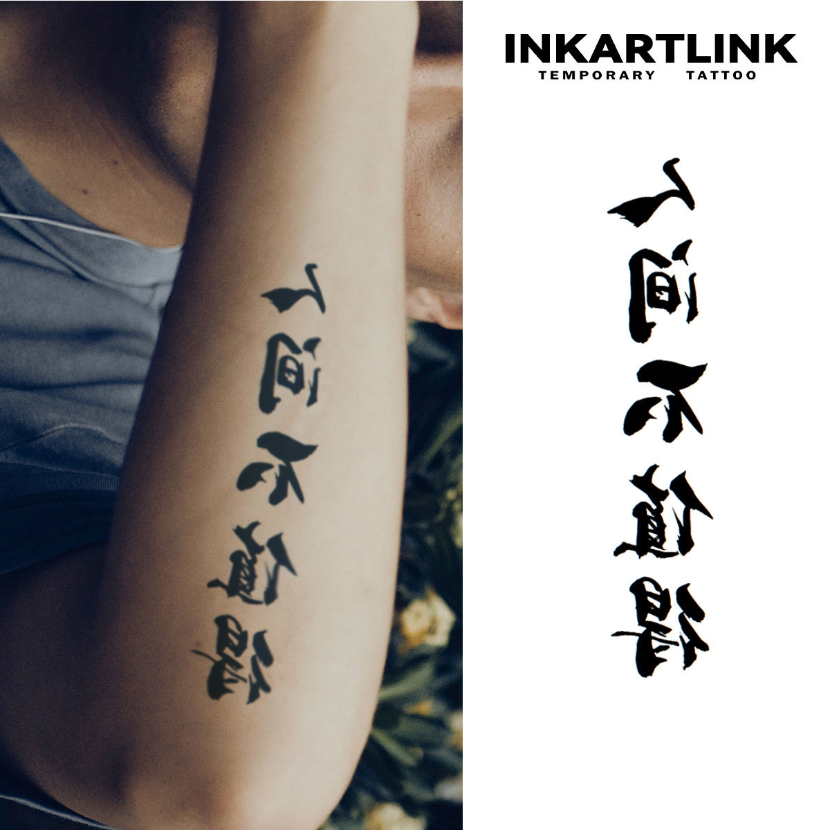 IN-E049 ไอเอ็น-อี049