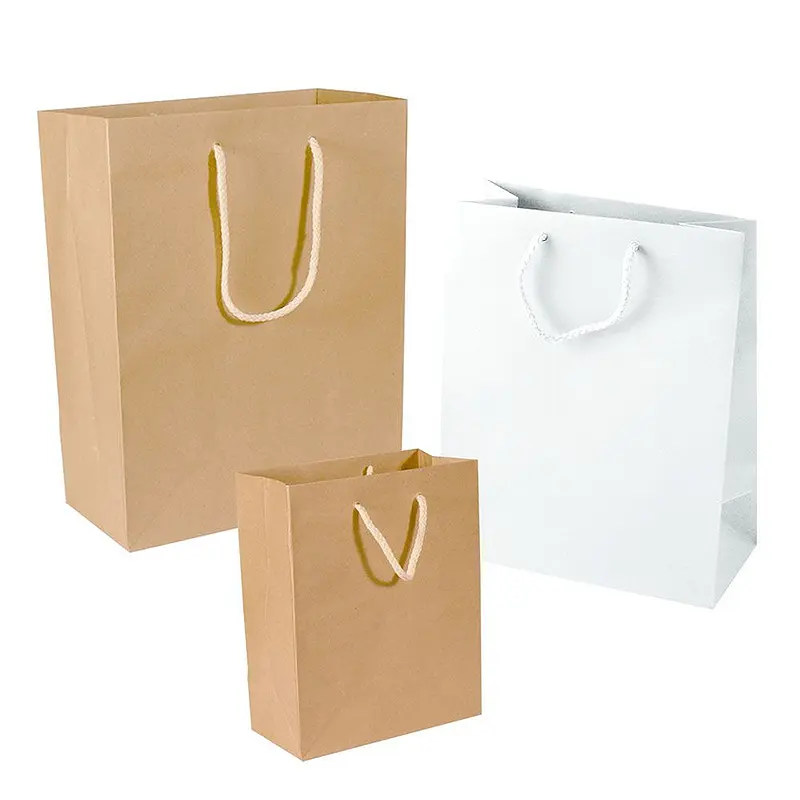 Carta amichevole campione gratuito finitura opaca personalizzata Eco, logo riciclato bellissimi sacchetti di imballaggio con nastro/