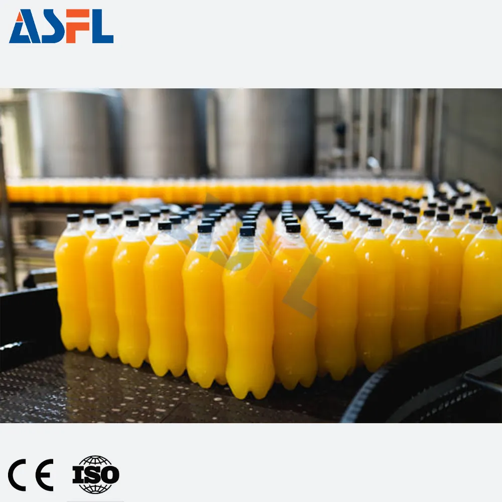 Fabrika fiyat 2500BPH otomatik şişe Mango içecek şişeleme hattı suyu dolum makinesi