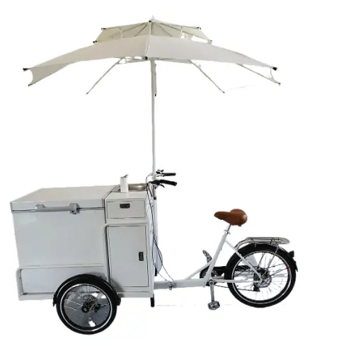 Bicicleta eléctrica de tres ruedas congelada asistida por pedal de carga frontal de alta calidad para uso comercial a la venta