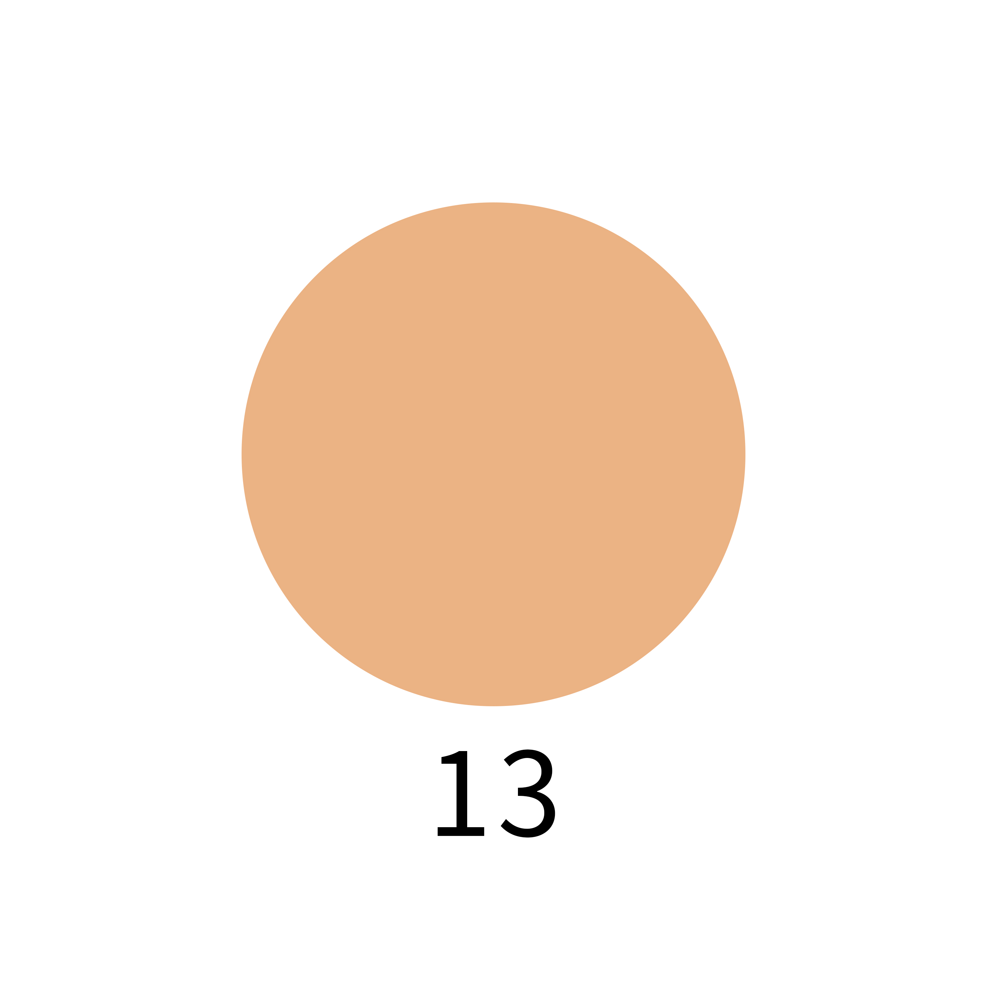 13