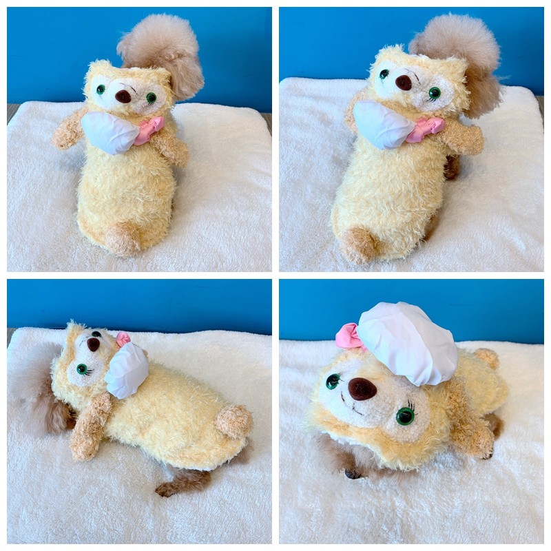 Peluche jaune vif chien jaune neuf