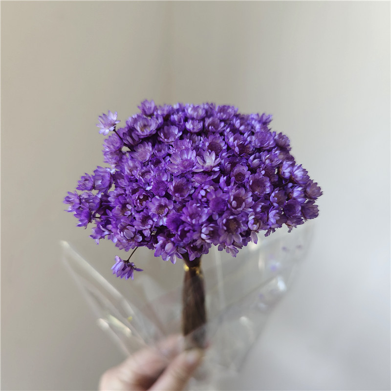 50 stems - light purple