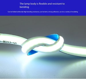 24V COB <span class=keywords><strong>LED</strong></span> striscia di luce colorato soffitto bianco freddo decorazione giardino <span class=keywords><strong>10m</strong></span> luce stringhe App <span class=keywords><strong>Controller</strong></span> IP65 Auto resa colore PCB