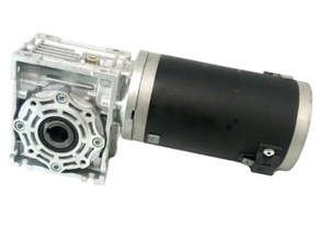 Tùy chỉnh BLDC động cơ Nhà cung cấp 24V 48V 310 Volt 100 Watt 200W Worm hộp số không chổi than DC động cơ - Product Image 2