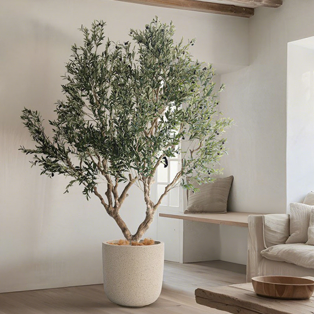 280*220cm Olive