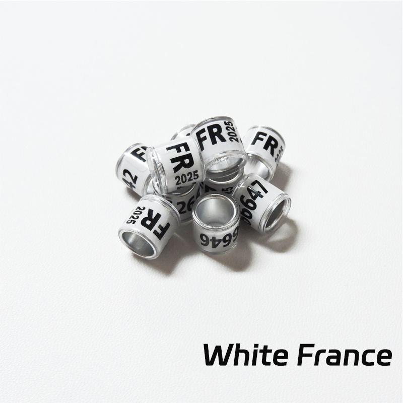 France blanche