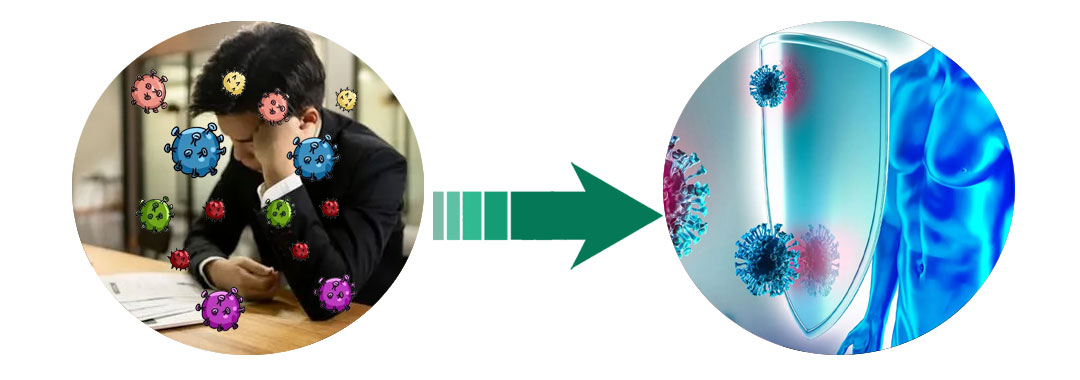 Σκόνη αποσπασμάτων του Blackberry με τις ανθοκυανιδίνες 25%/τις ανθοκυάνες 1 - 25% 5