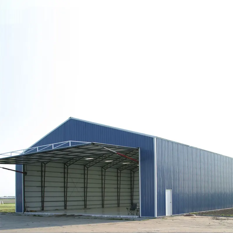 Prezzo basso Design professionale prefabbricato leggero edificio struttura in acciaio aereo/Hangar per aeroplani