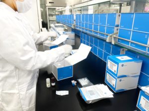 Laboratuvar fare Leptin ELISA seti - Product Image 4