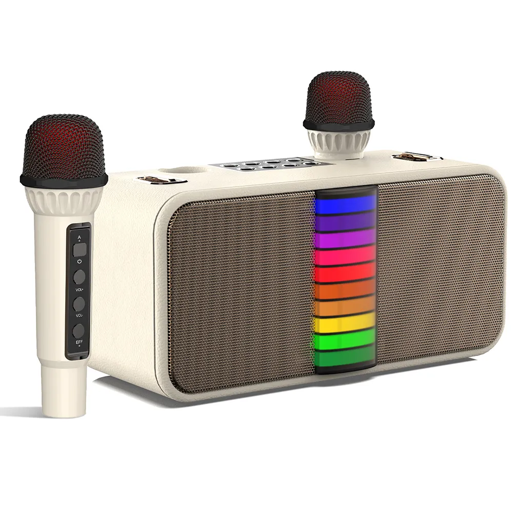 FANSBE portátil fiesta familiar Hifi 30W RGB luz al por mayor al aire libre Led Bluetooth altavoz Karaoke con 2 micrófonos