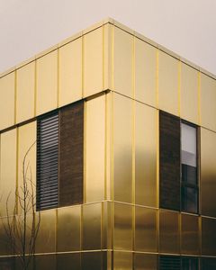 Moderno sistema di rivestimento della parete esterna in acciaio inox decorazione dell'edificio di lusso con lavorazione di punzonatura - Product Image 1