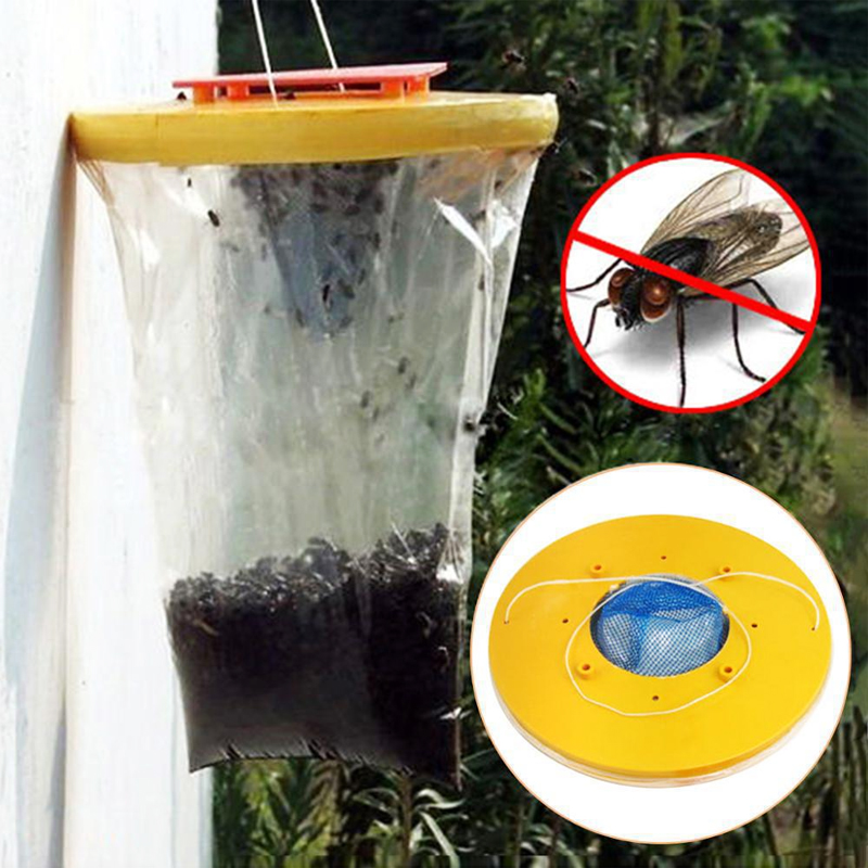 Cage attrape-insectes