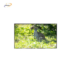 Módulos de pantalla LCD TFT IPS de 15,6 pulgadas con resolución 1920*1080 1000cd/㎡ Brillo Interfaz LVDS 30PIN - Product Image 5