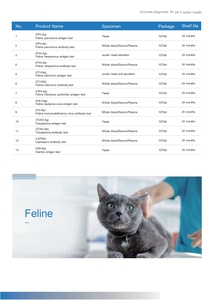 <span class=keywords><strong>Kit</strong></span> de test rapide d'herpèsvirus félin (FHV) bandelettes de test vétérinaire Ag/Ab - Product Image 4