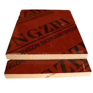 Tốt nhất 18 mét PP phim phải đối mặt ván ép cho xây dựng màu xanh lá cây nhựa PVC ván khuôn ván ép cho bên ngoài nhà bếp hội thảo kho - Product Image 1